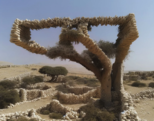 Mrgari / Geo-Digital Stone Flowers