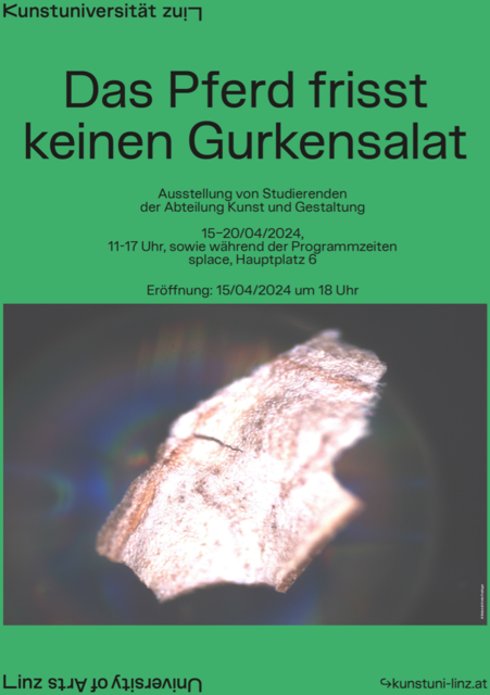 Das Pferd frisst keinen Gurkensalat