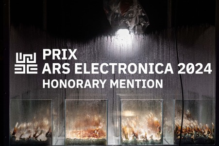 Prix Ars Electronica 2024