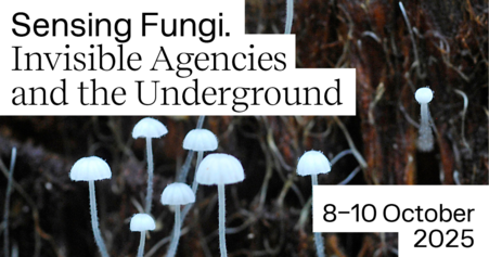 Sensing Fungi