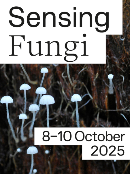 Sensing Fungi