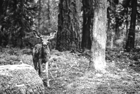 Sujet Themenwoche